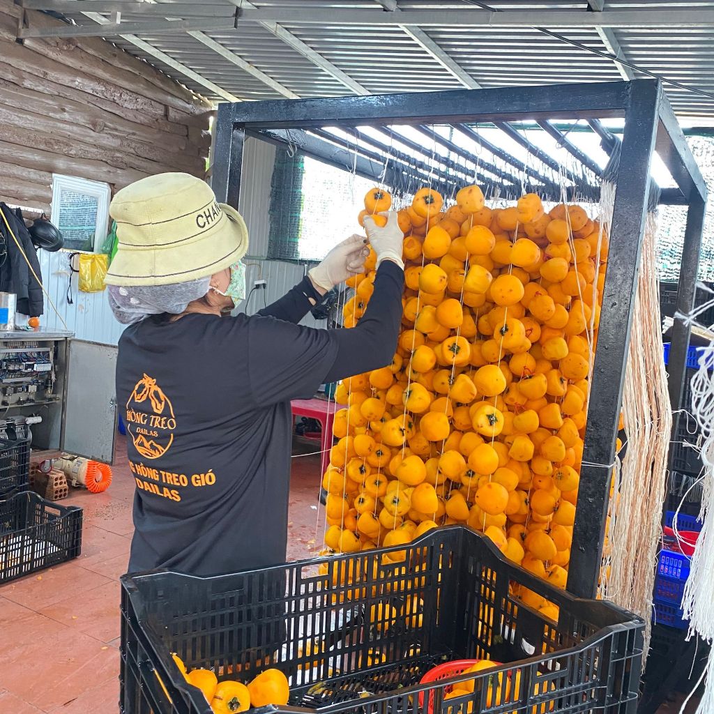 Hồng treo gió đà lạt - Minh Tiến Farm - Đặc sản Đà Lạt | Việt Nam