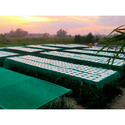 Muối sặc cay nhuyễn ăn bánh tráng phơi sương Cô Nga 100gr |  Việt Nam