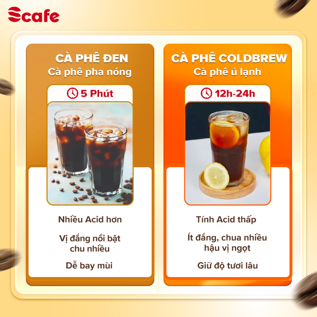 Cà phê Ủ Lạnh Cold Brew Scafe Việt Nam 100% ARABICA Hộp 10Túi x 20G