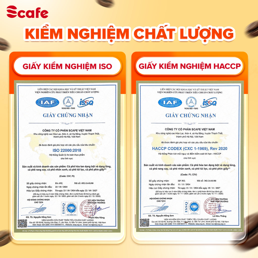 Cà phê Ủ Lạnh Cold Brew Scafe Việt Nam 100% ARABICA Hộp 10Túi x 20G